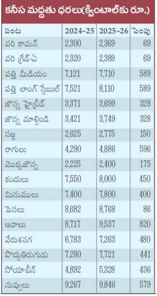 WhatsApp Image 2025-05-29 at 5.16.35 PM