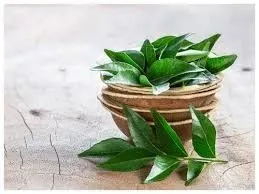 కరివేపాకు ఆరోగ్య రహస్యాలు: షుగర్ కంట్రోల్ నుంచి జుట్టు బలహీనత వరకు అన్నిటికీ పరిష్కారం!