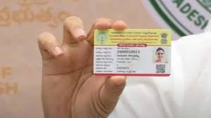 ap-new-ration-cards-check-process-online