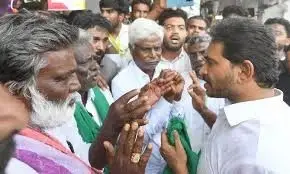 jagan-slams-government-on-mango-farmers-issue