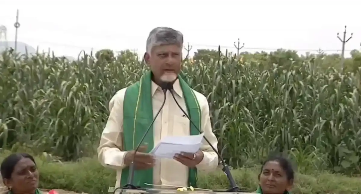 ఆంధ్రప్రదేశ్ రైతులకు సీఎం చంద్రబాబు భారీ భరోసా: అరటి, పత్తి, మొక్కజొన్న కొనుగోళ్లపై కీలక ఆదేశాలు
