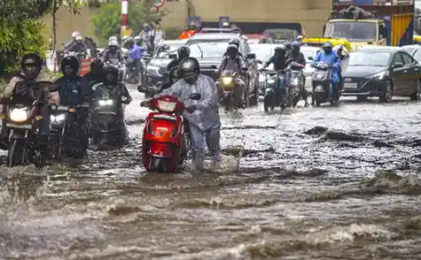 నెల్లూరును ముంచెత్తిన వర్షాలు: ‘దిత్వా’ తుపాను ప్రభావంతో అతలాకుతలం – ప్రధాన నదులు ఉధృత ప్రవాహం