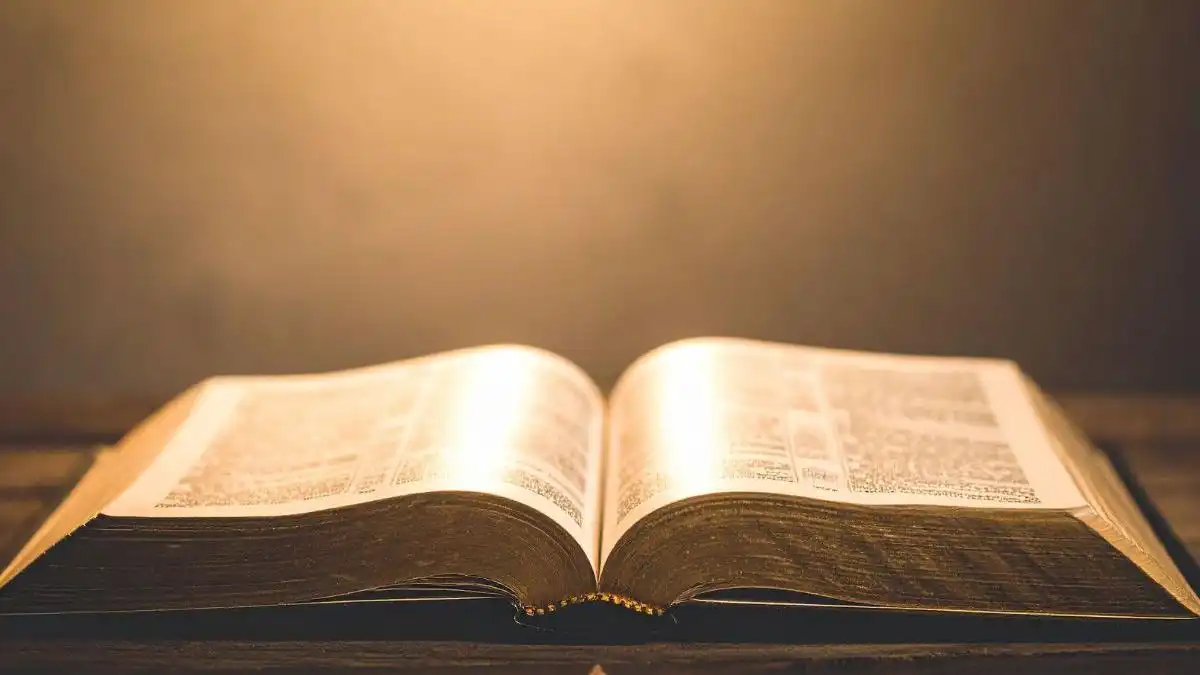 ప్రపంచంలోనే అత్యంత పొడవైన చేతిరాత బైబిల్ ఆవిష్కరణ | త్రిసూర్‌లో చారిత్రక ఘట్టం